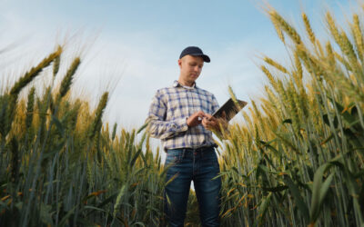 Digitalización agrícola y ganadera: retos, soluciones y beneficios 